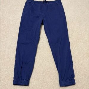 Gap Blue Cloth Jogger Pants  Large